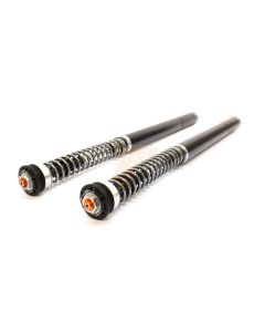 BMW S 1000 RR Fork Cartridge kit X-TREME