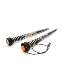 BMW S 1000 RR Fork Cartridge kit eX-TREME