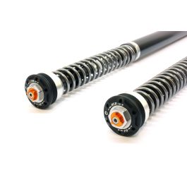 Honda XL750 Transalp Fork Cartridge kit X-PERIENCE Lowered -25mm
