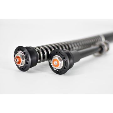 BMW F 900 R Fork Cartridge kit X-TREME Lowered -20mm