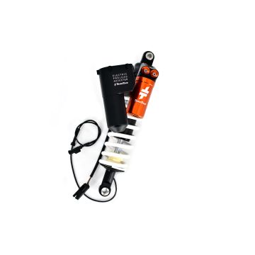 BMW R 1250 R Rear Shock eX-PERIENCE