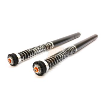 BMW S 1000 RR Fork Cartridge kit X-TREME
