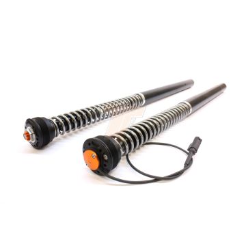 BMW S 1000 R Fork Cartridge kit eX-TREME