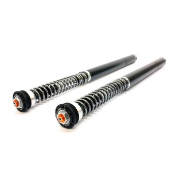 Husqvarna Norden 901 Expedition Fork Cartridge kit X-TREME Raised +20mm