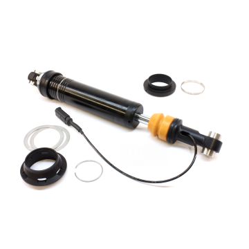 BMW R 1250 R Rear Shock eX-CITE